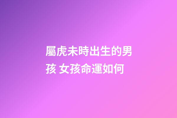屬虎未時出生的男孩 女孩命運如何